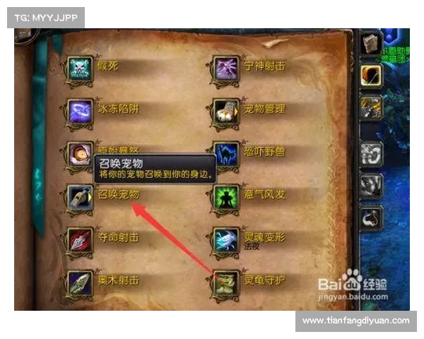 魔兽世界怀旧服猎人：屠龙师技能全攻略